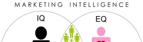 Zerudi : le marketing à la portée de tous !